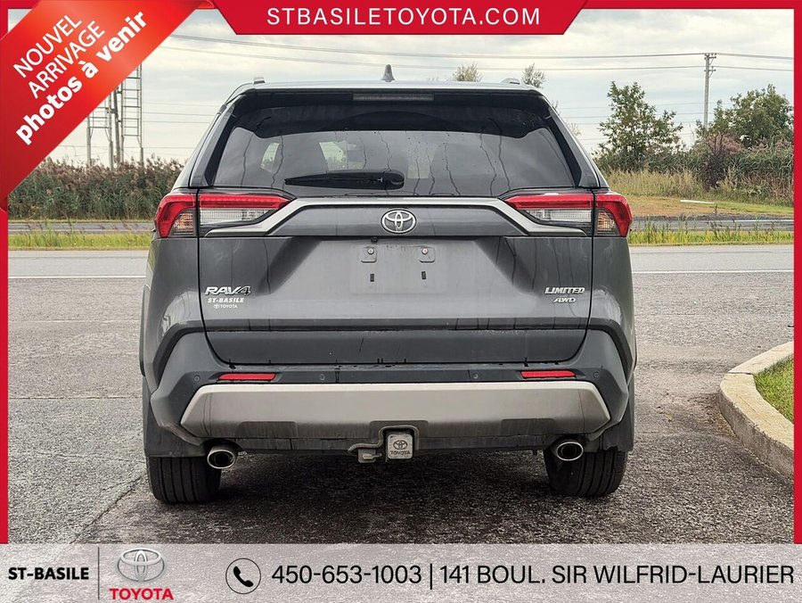 TOYOTA RAV4 2023 2023 Gris