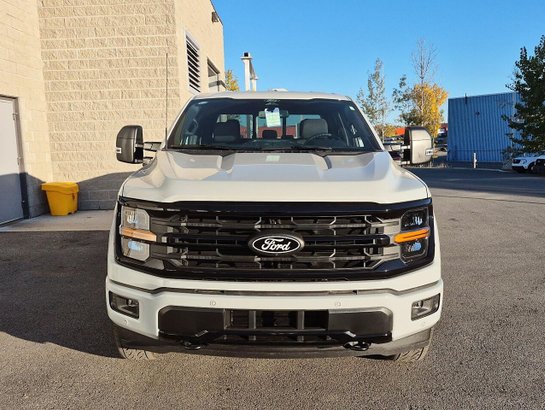 Ford F-150 XLT 2026 Vert