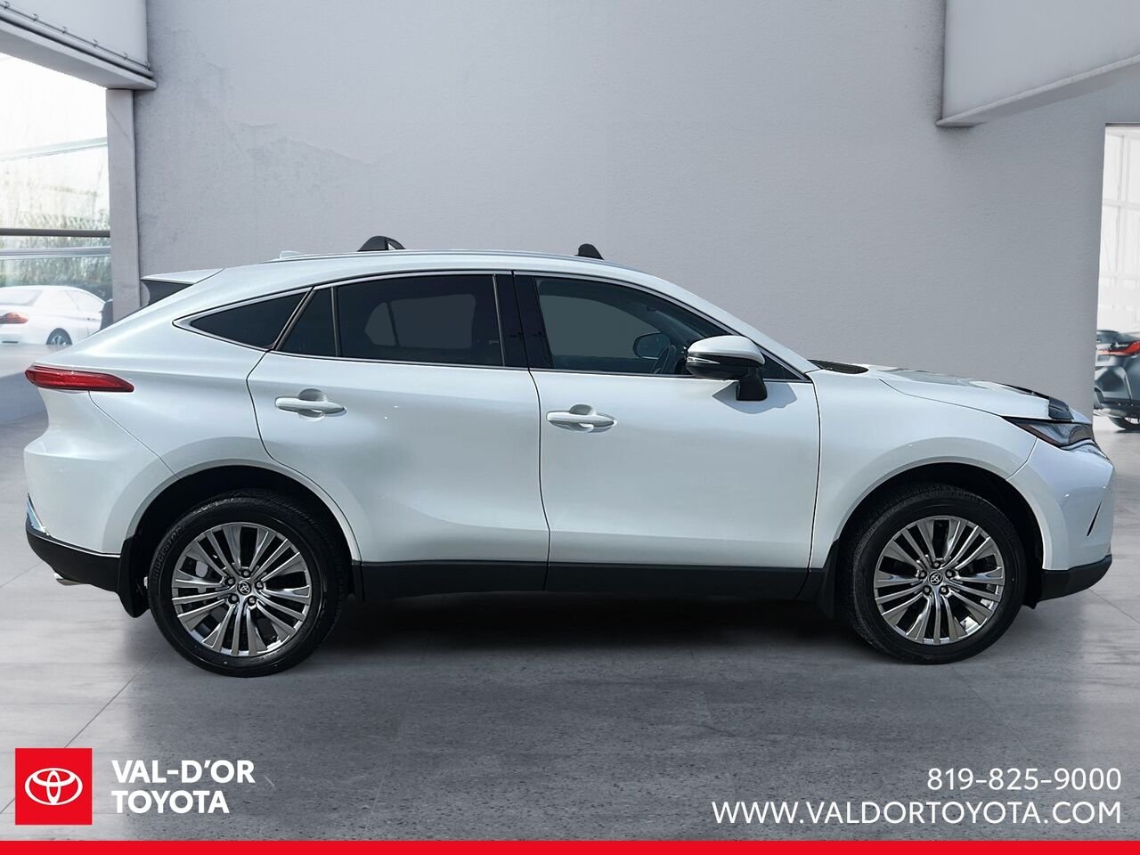 2023 Toyota Venza XLE TI Wind Chill Pearl Val-d'Or - photo #4