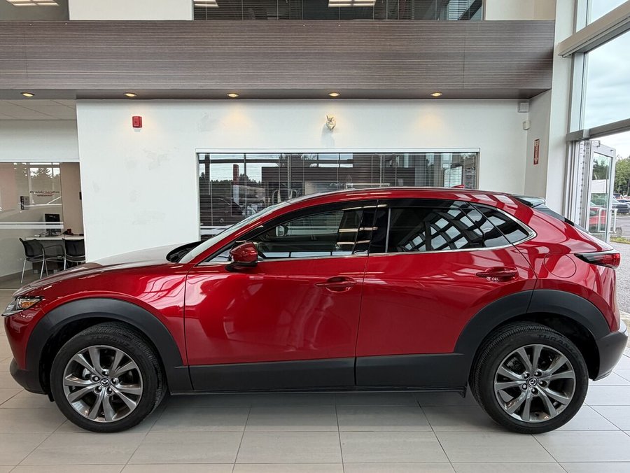 Mazda CX-30 2021 2021 Rouge