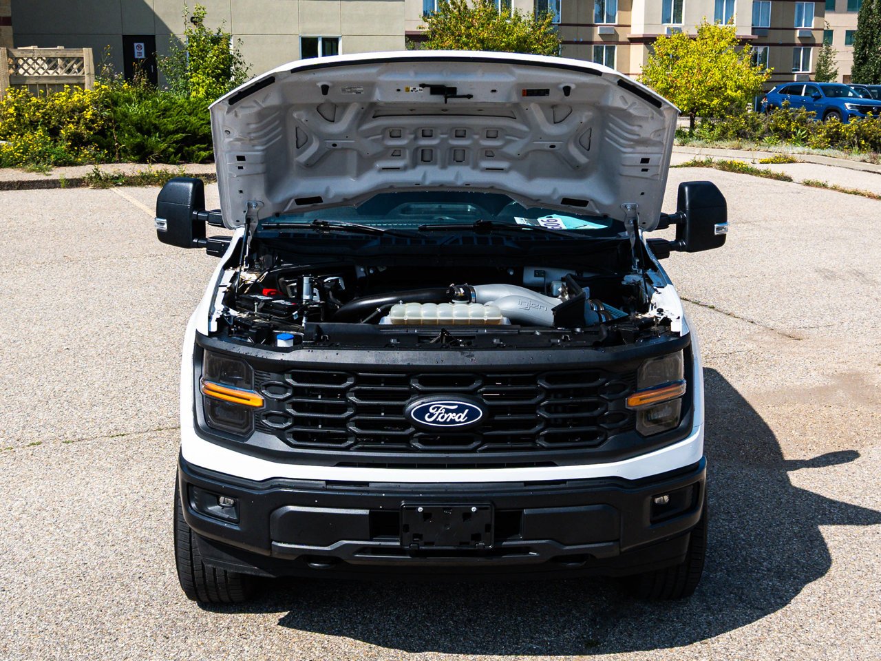 2024 Ford F-150 STX 4WD SuperCrew 5.5' Box White Sherwood Park - photo #8