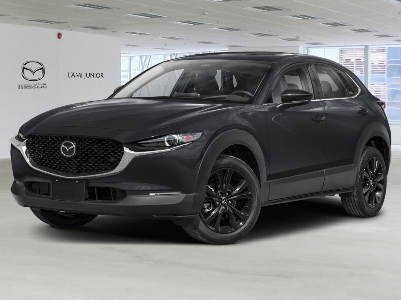 Mazda CX-30 NIV 3MVDMBAY7TM121730 2026 Jet Black Mica Chicoutimi - photo #0