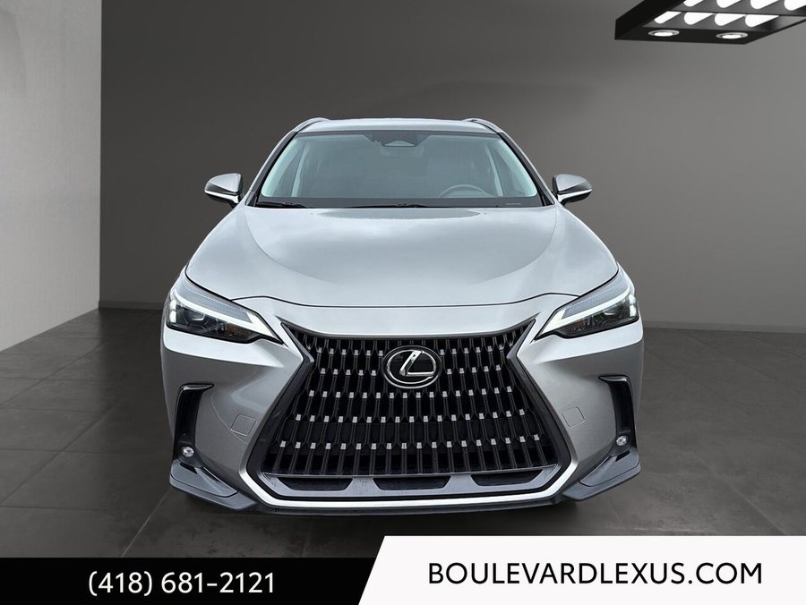 Lexus NX 2022 2022 Argent
