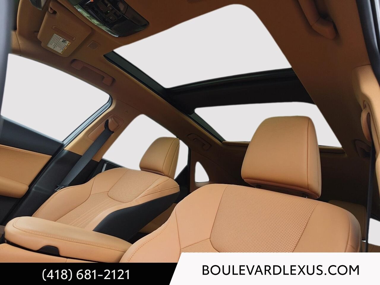 Lexus NX 601183 | NX 350h TI 2024 Argent Québec - photo #10