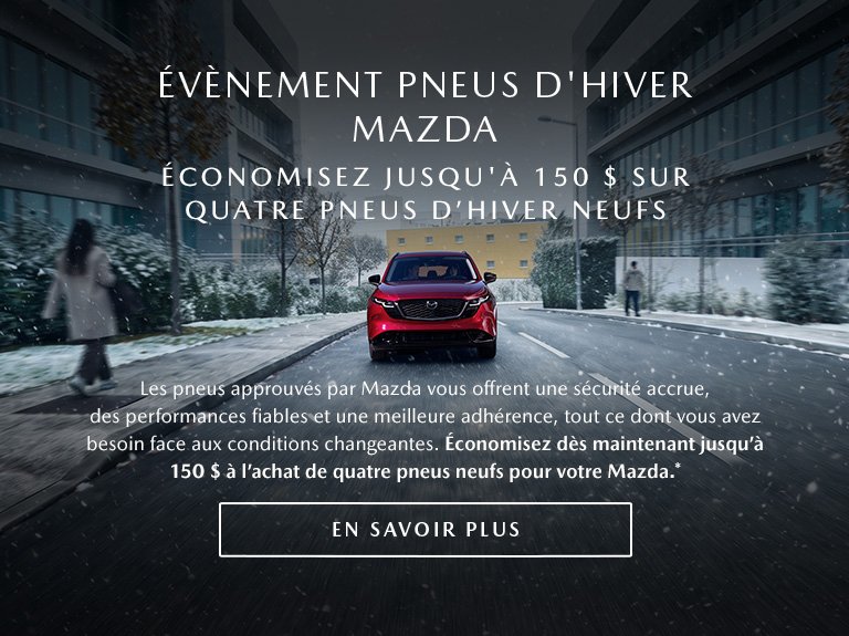 Pneus Hiver