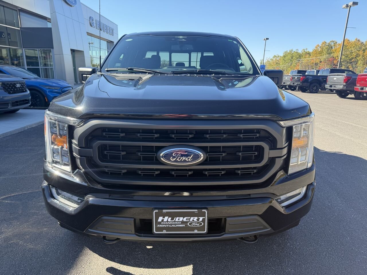 Ford F-150 2023 Noir Mont-Laurier - photo #9