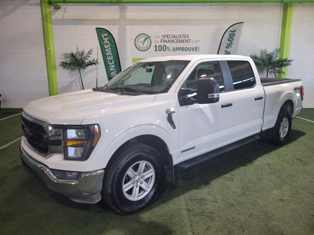 2023 Ford F-150 White  - photo #1