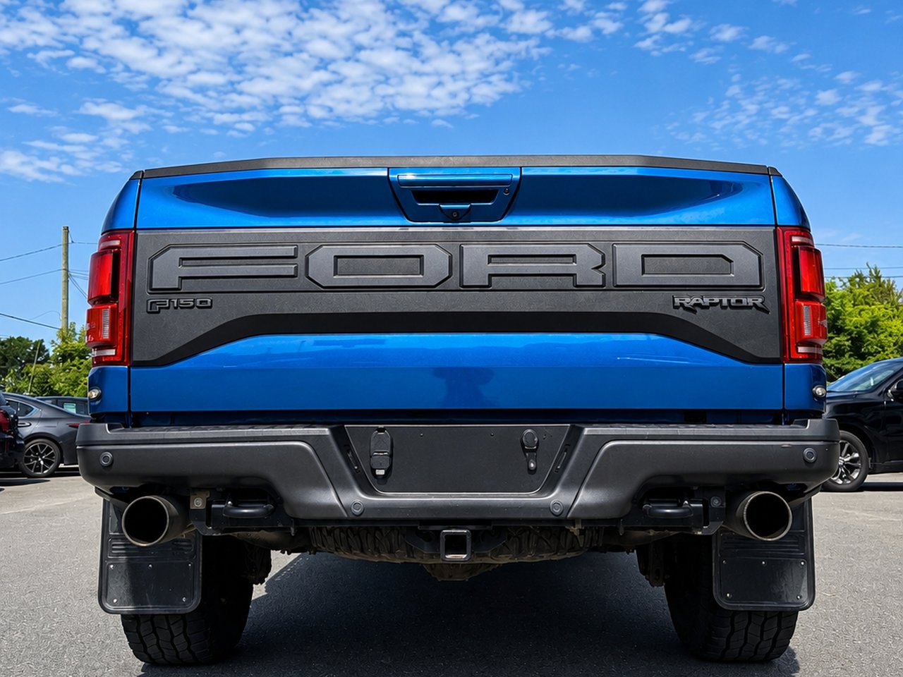 2019 Ford F-150 RAPTOR Blue Granby - photo #5