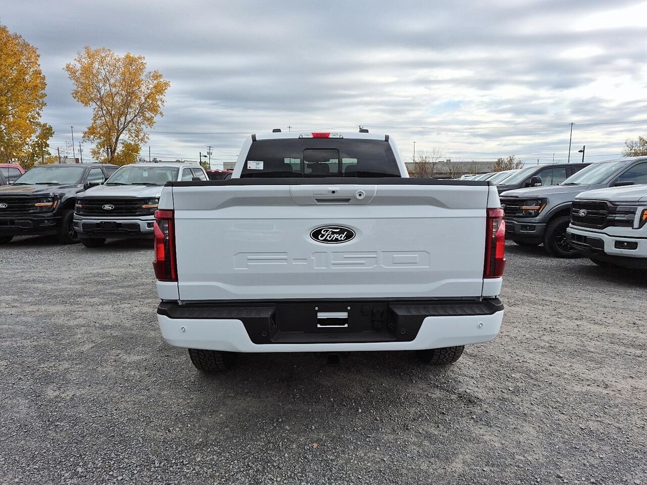 Ford F-150 2F460 | XLT 2026 Blanc Oxford Saint-Jérôme - photo #4