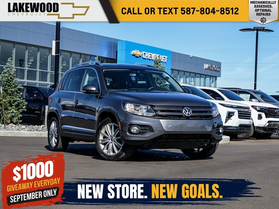2015 Volkswagen Tiguan 2015 gray