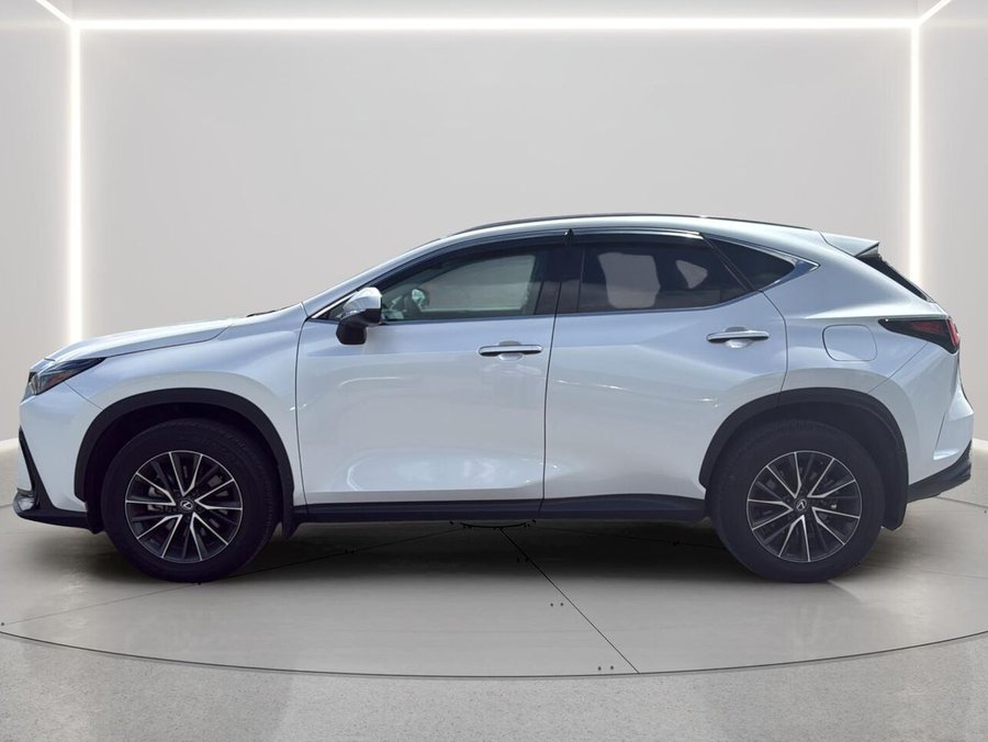 Lexus NX 2025 2025 Blanc