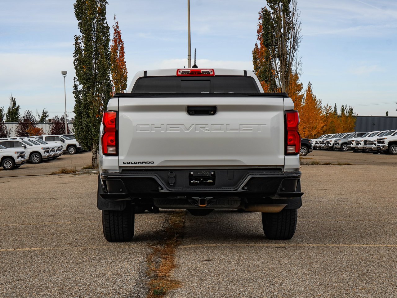 2024 Chevrolet Colorado 4WD Crew Cab Z71 White Sherwood Park - photo #6