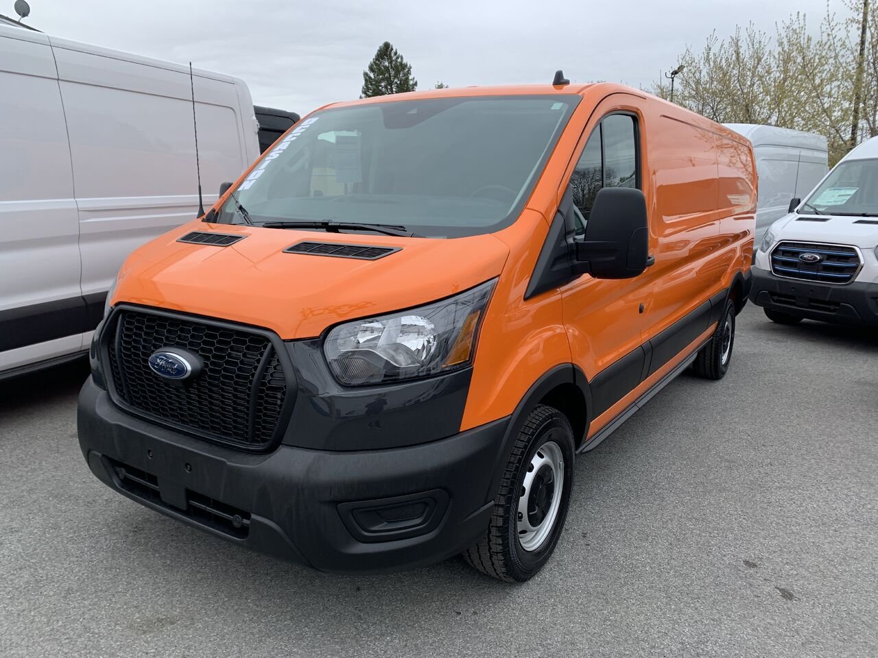 Ford Transit fourgon utilitaire T150, CARGO, 148 WB, TOIT BAS 2025 Orange Châteauguay - photo #0