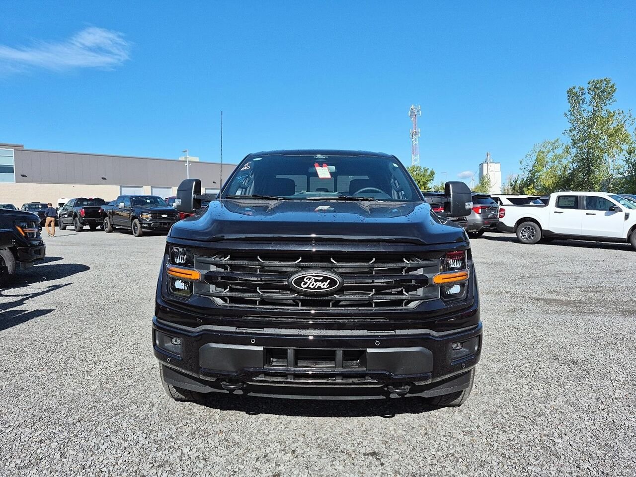 Ford F-150 2F243 | XLT 2026 Noir agate métallisé Saint-Jérôme - photo #1