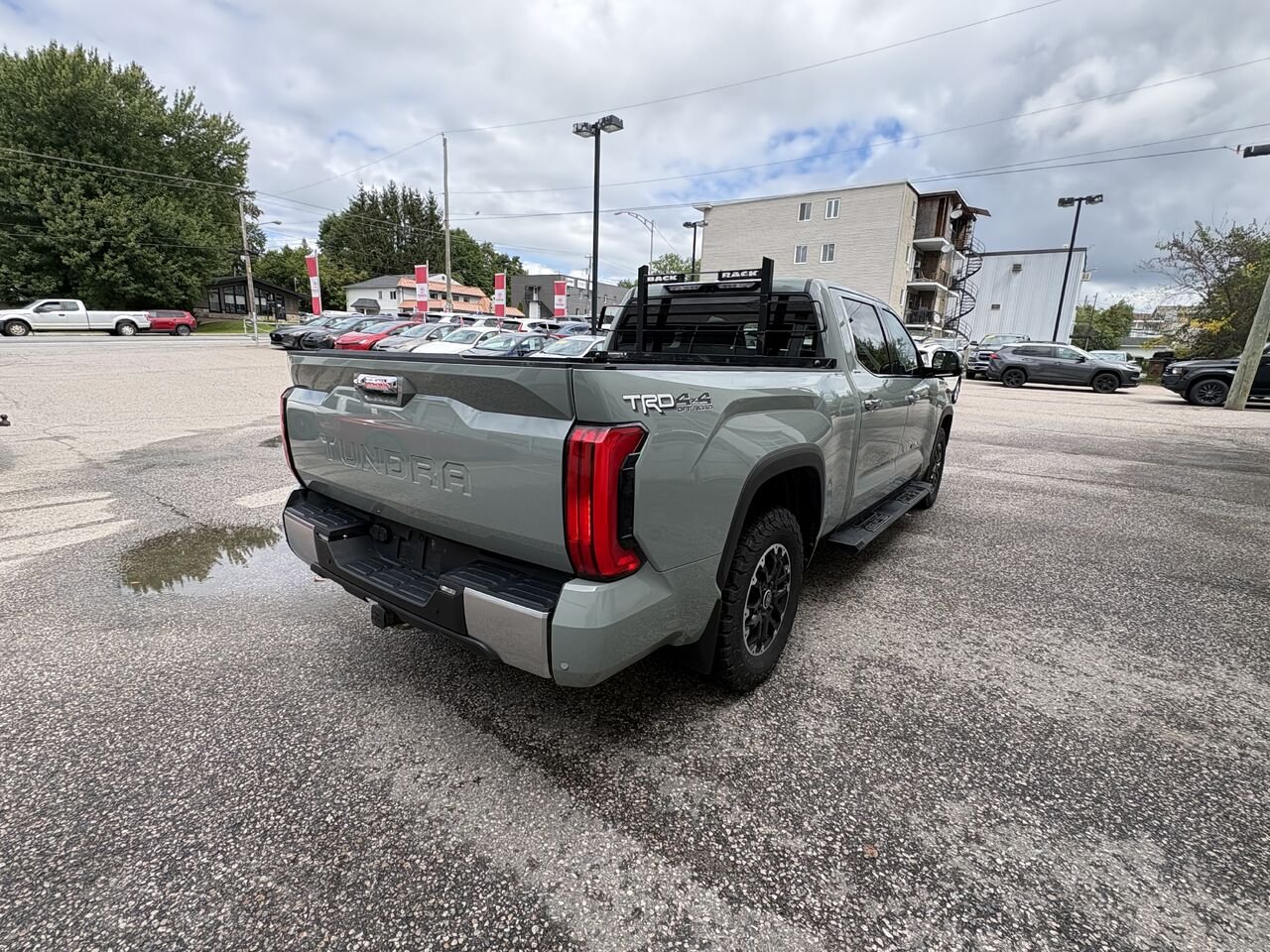 2023 Toyota TUNDRA LIMITED Green Mont-Laurier - photo #4