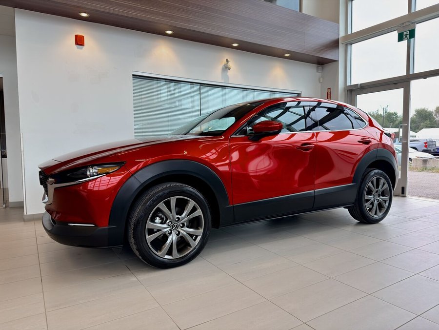Mazda CX-30 2021 2021 Rouge