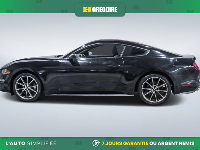 2019 Ford Mustang Black Laval - photo #4