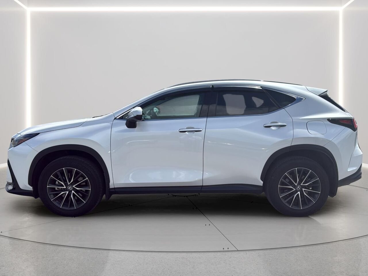 2025 Lexus NX White Gatineau - photo #1
