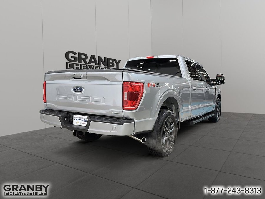 2023 Ford F-150 2023 Grey