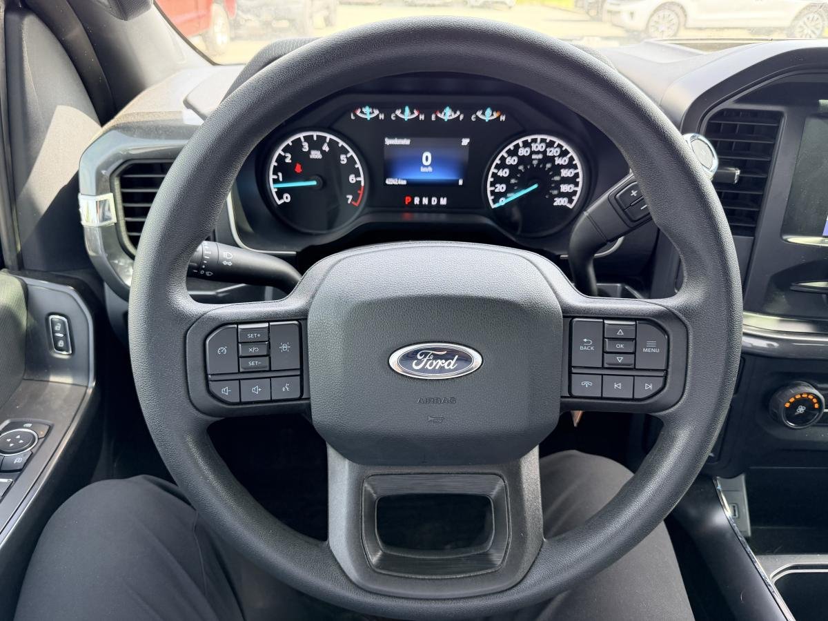 2023 Ford F-150 Grey  - photo #17