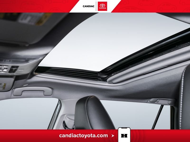 2025 Toyota Rav 4 Black Laval - photo #30
