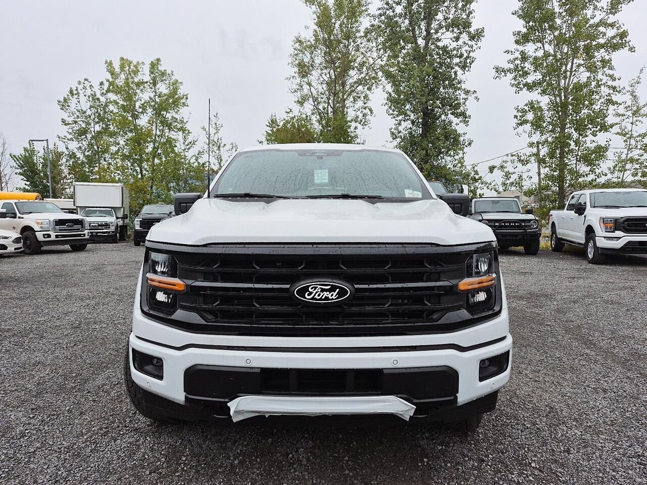 Ford F-150 2F380 | XLT 2026 Blanc Oxford Saint-Jérôme - photo #1