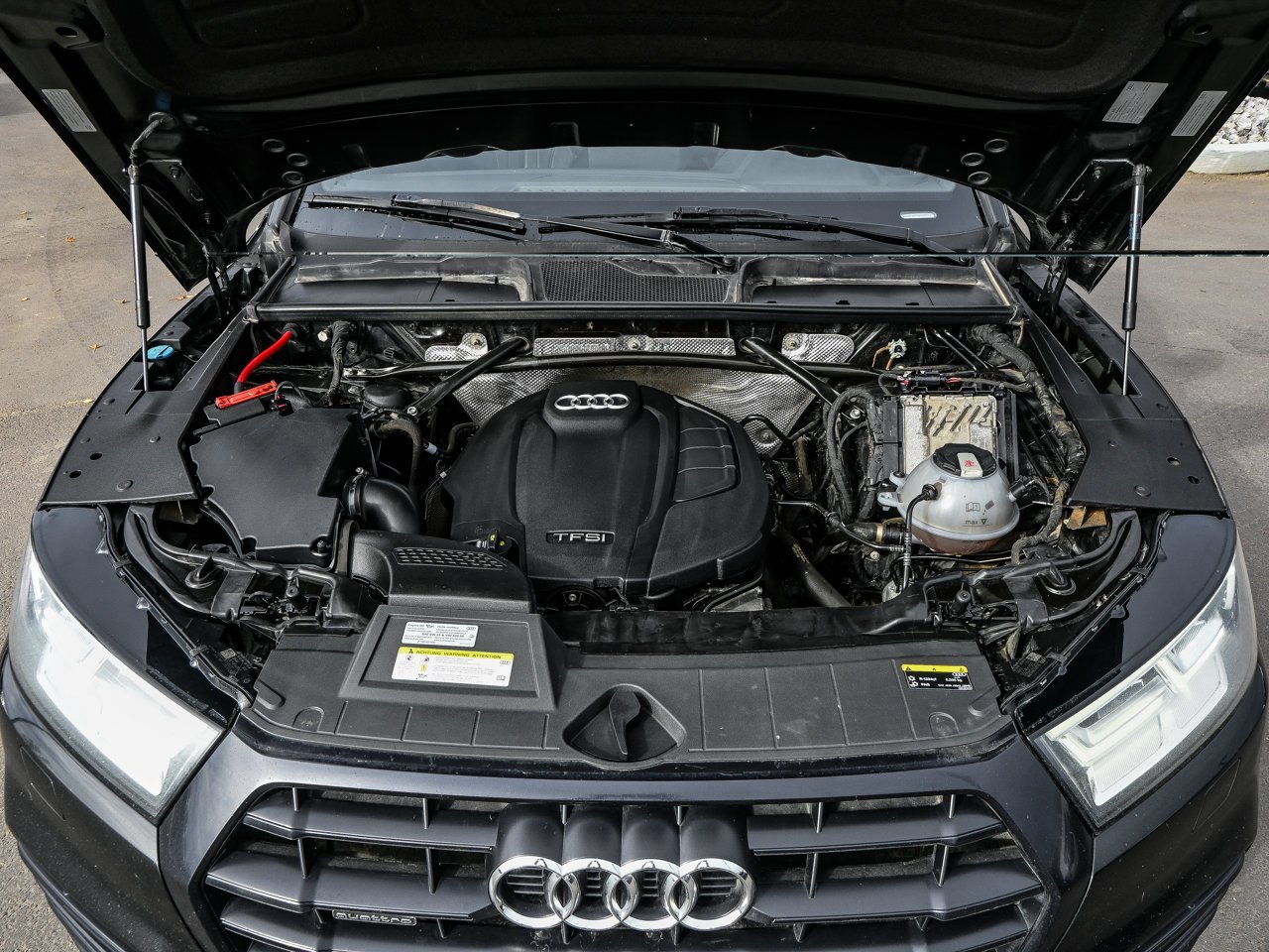 2019 Audi Q5 Progressiv 45 TFSI quattro Black Sherwood Park - photo #8