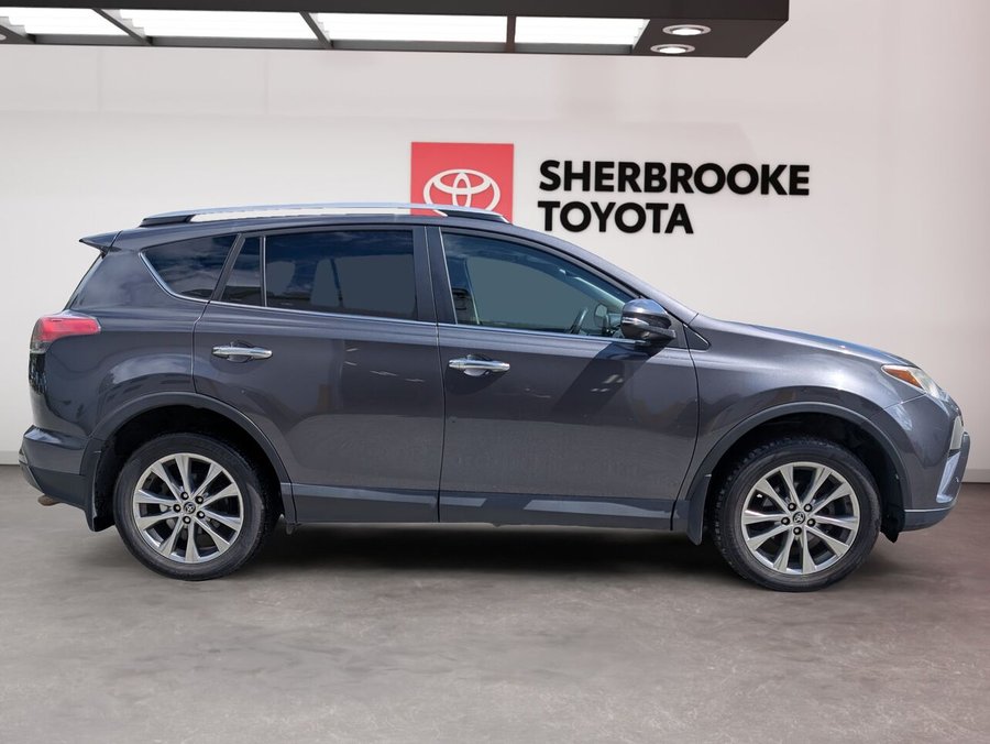 2017 Toyota RAV4 2017 Grey