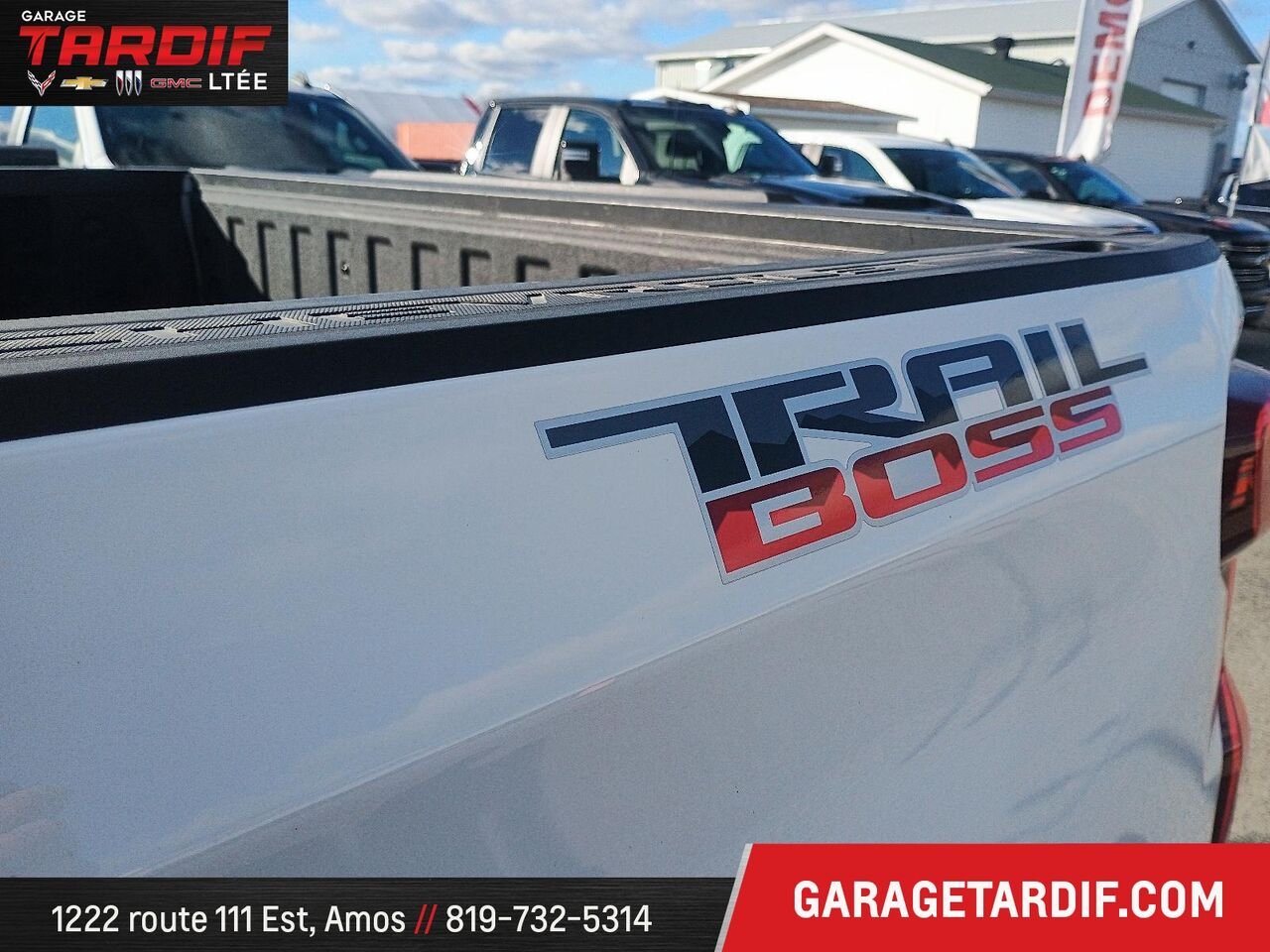 CHEVROLET Silverado 1500 21102A 2024 Blanc Amos - photo #7
