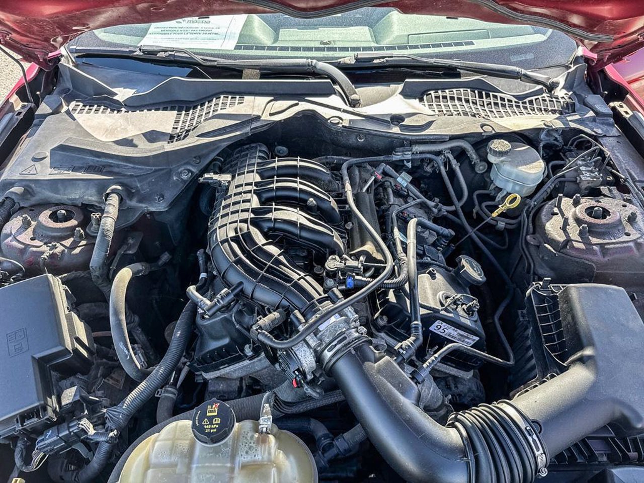 2016 Ford Mustang 1FA6P8AM3G5308367 Red Mirabel - photo #12