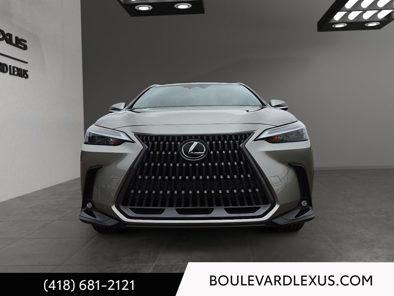 LEXUS NX 20095A | NX 350H 2026 Argent Québec - photo #1