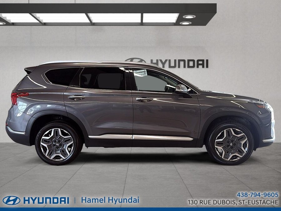 Hyundai Santa Fe Hybrid 2021 2021 Gris