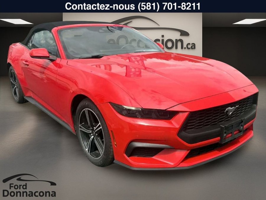 Ford Mustang 2025 2025 Rouge