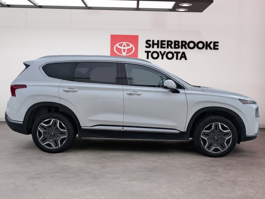 Hyundai Santa Fe Hybrid 2022 2022 Blanc