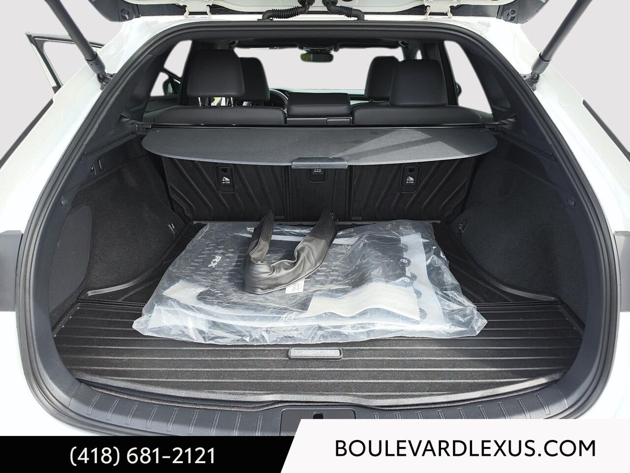 2025 Lexus RX 601192 | RX 350h BA White Quebec - photo #20