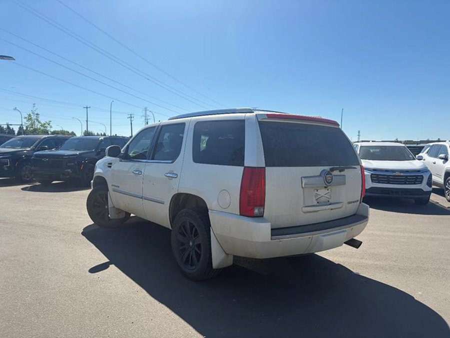 2008 Cadillac Escalade 2008 White
