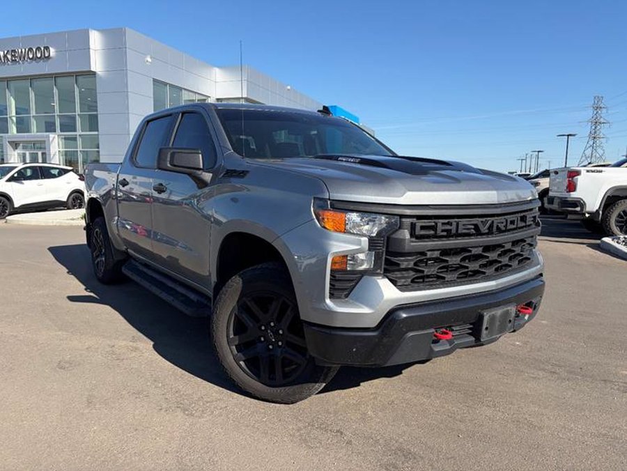 2024 Chevrolet Silverado 1500 2024 Grey