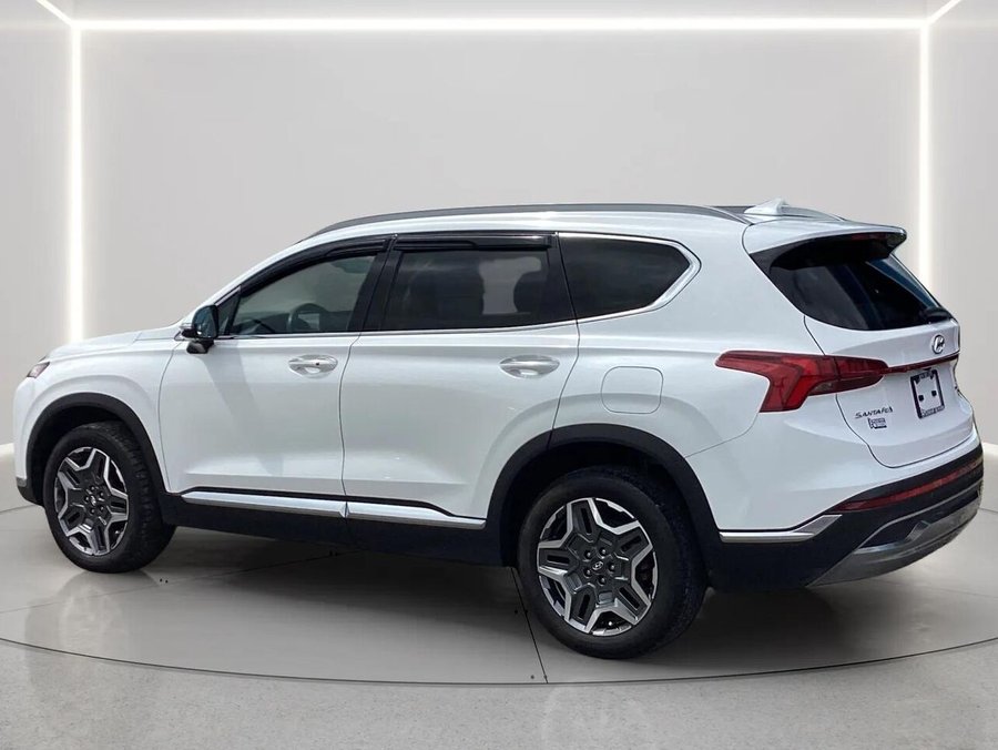 Hyundai Santa Fe Hybrid 2022 2022 Blanc