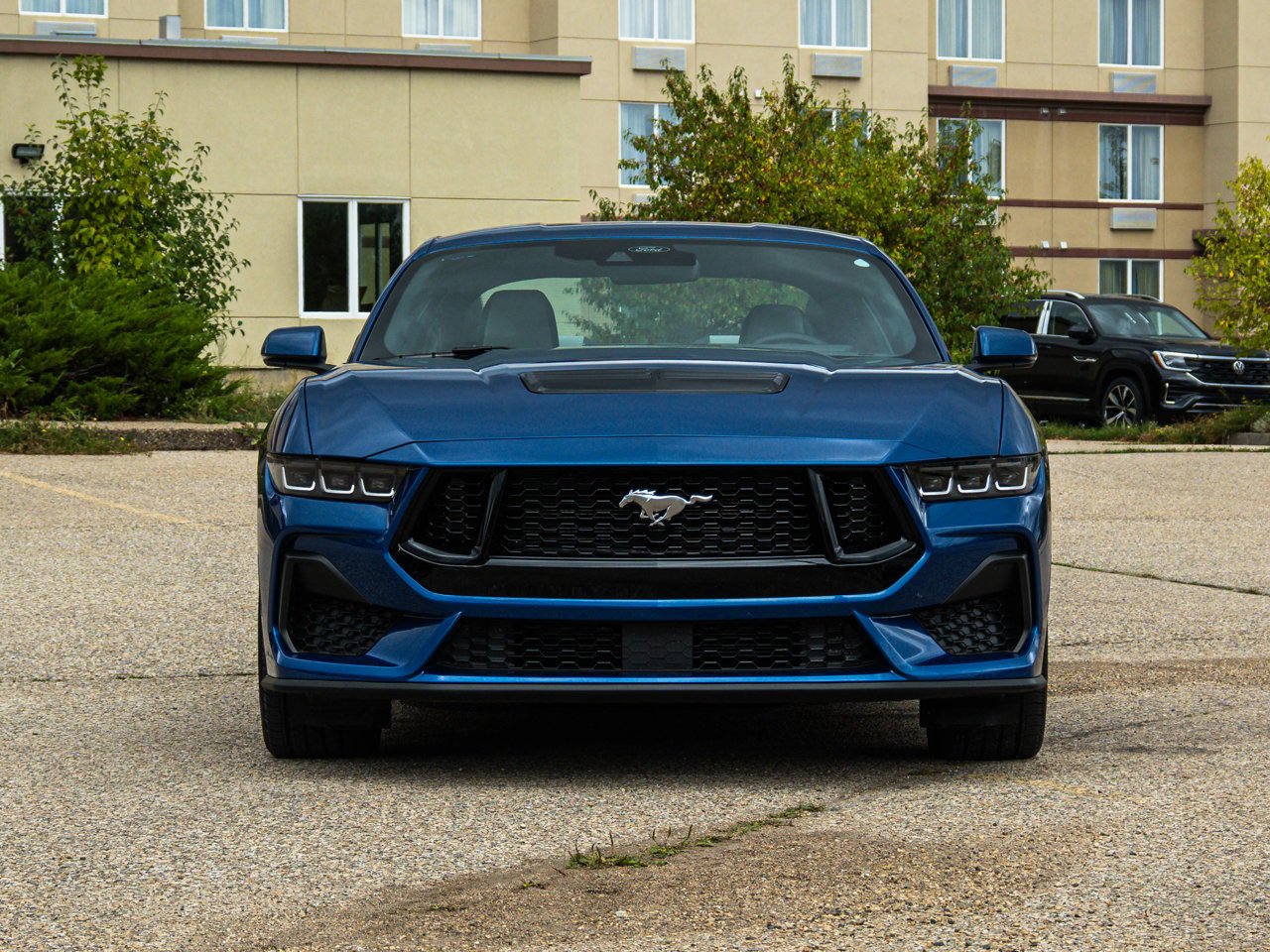 2024 Ford Mustang GT Premium Fastback Blue Sherwood Park - photo #2