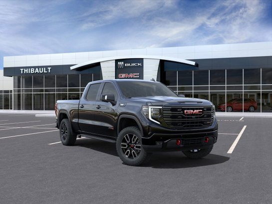 2025 GMC Sierra 1500 2025 Onyx Black