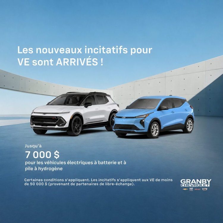 Incitatifs VE 1 1024x1024