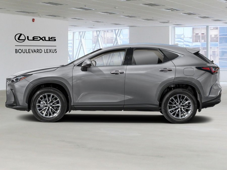 2026 LEXUS NX 2026 Grey