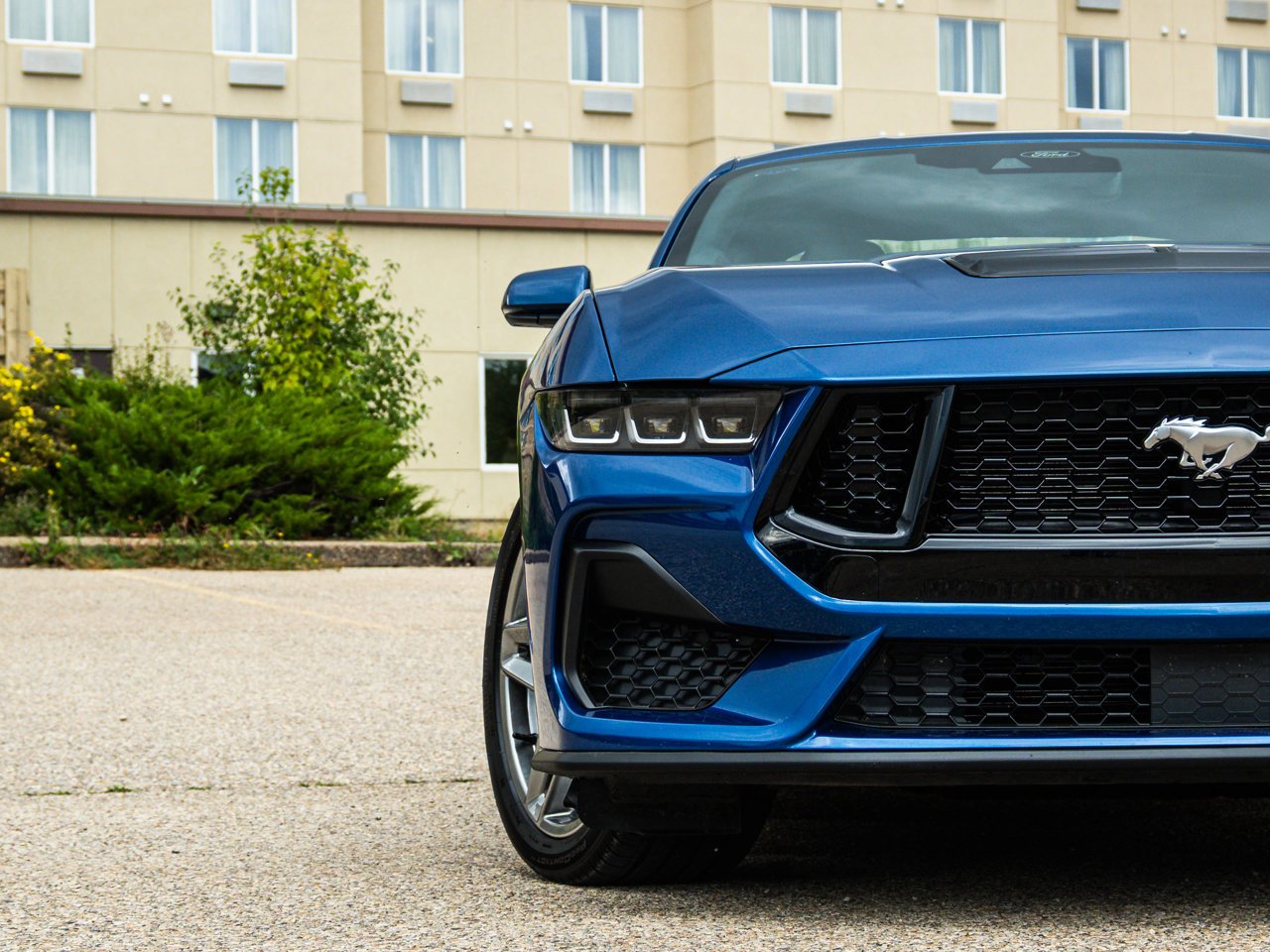 2024 Ford Mustang GT Premium Fastback Blue Sherwood Park - photo #6