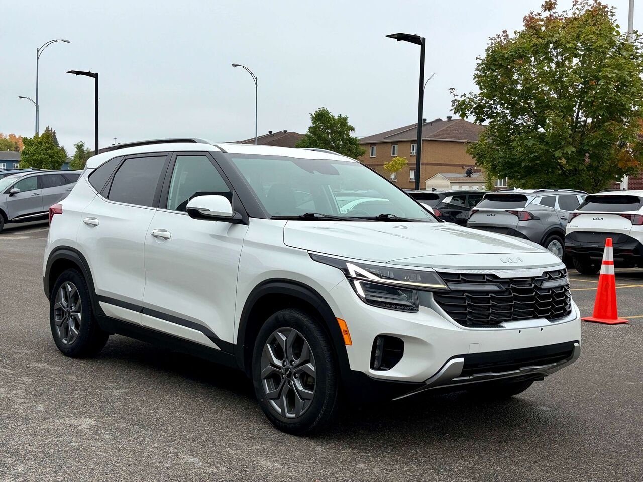 Kia Seltos 2024 Blanc Gatineau - photo #7