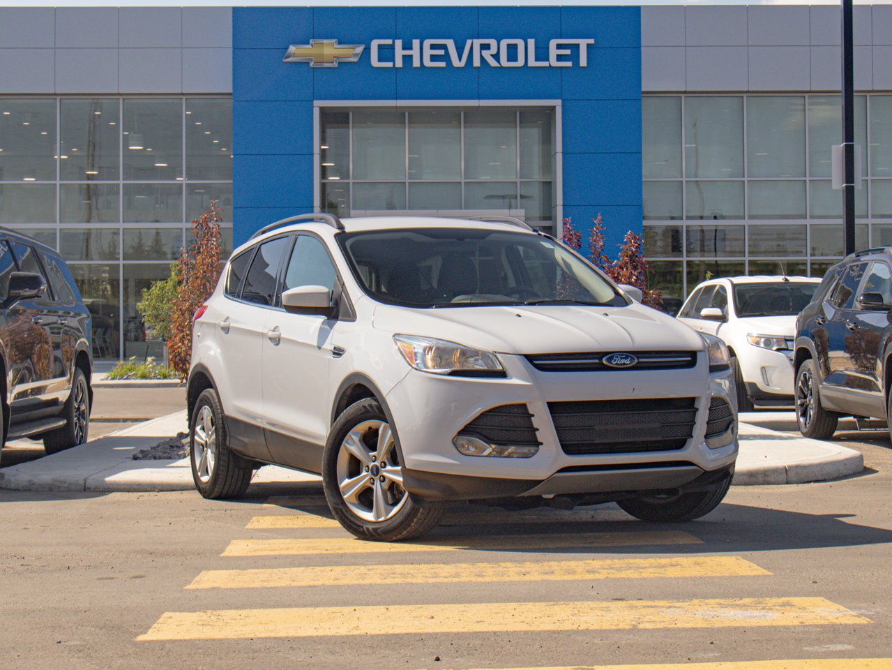 2014 Ford Escape 4WD 4dr SE White Sherwood Park - photo #1
