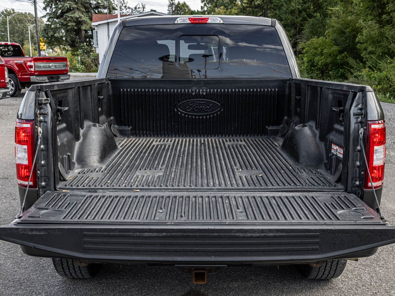2018 Ford F-150 Grey Sainte-Julienne - photo #8