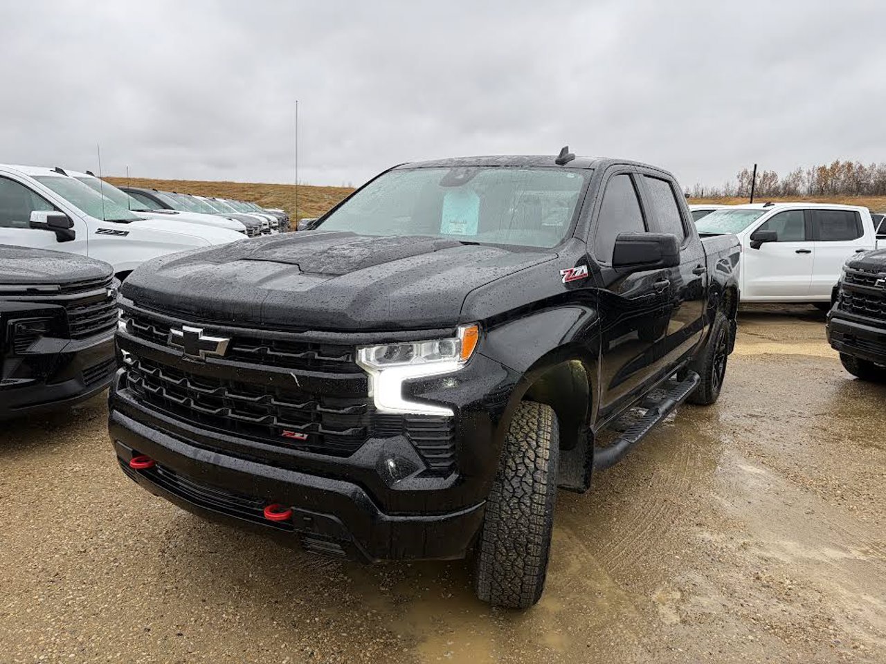 2024 Chevrolet Silverado 1500 4WD Crew Cab 147 LT Trail Boss Black Sherwood Park - photo #2