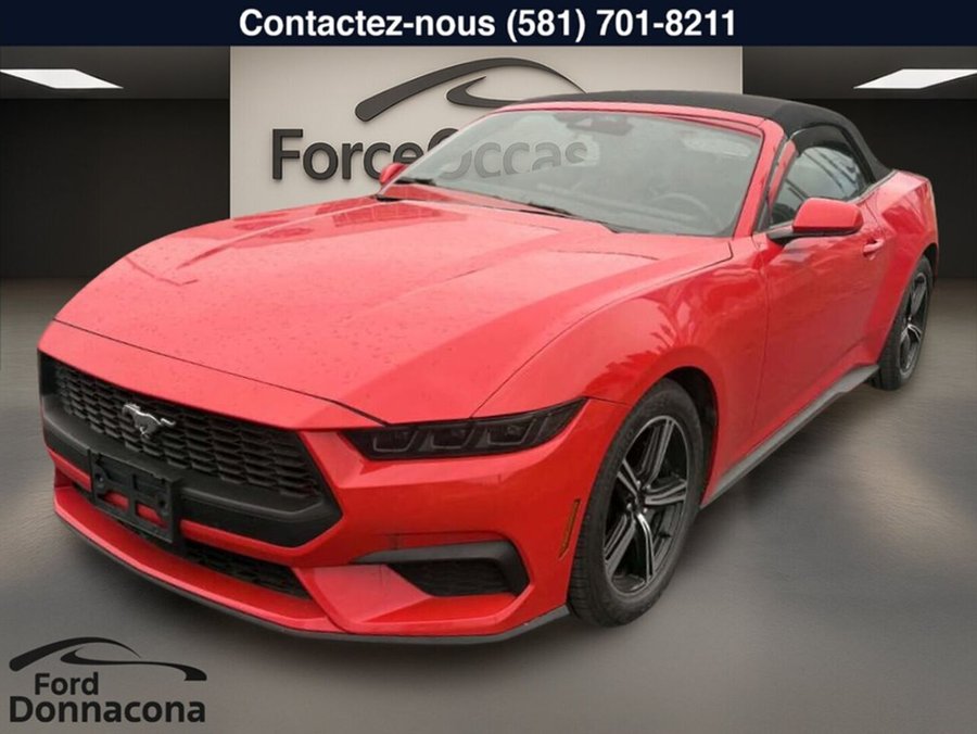 Ford Mustang 2025 2025 Rouge