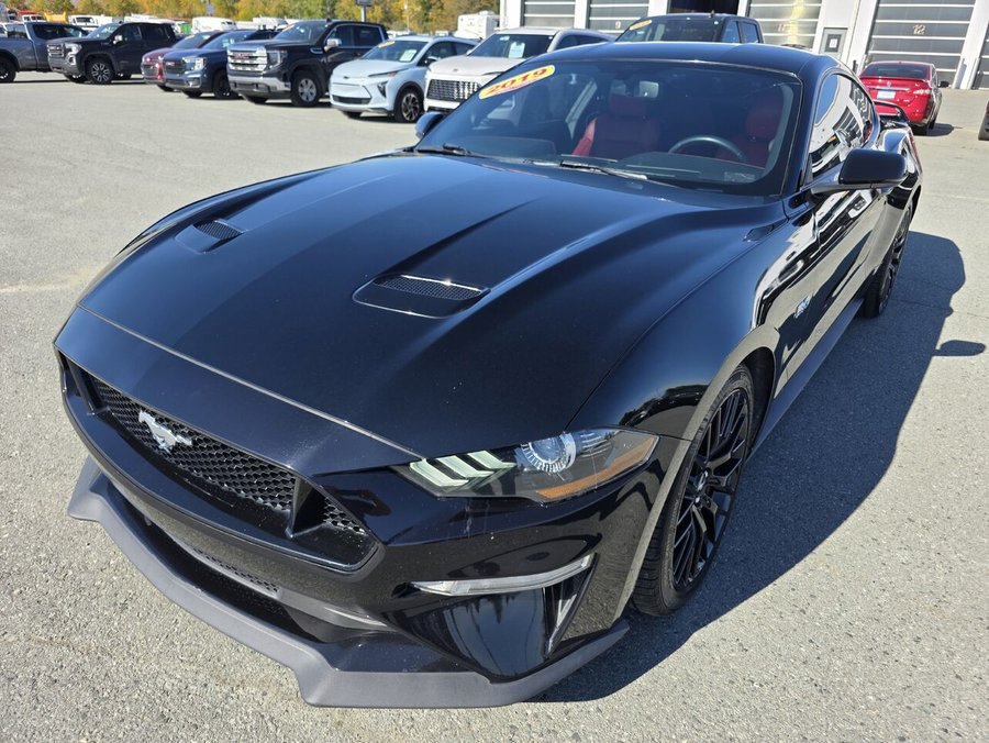 2019 Ford Mustang GT à toit fuyant Black