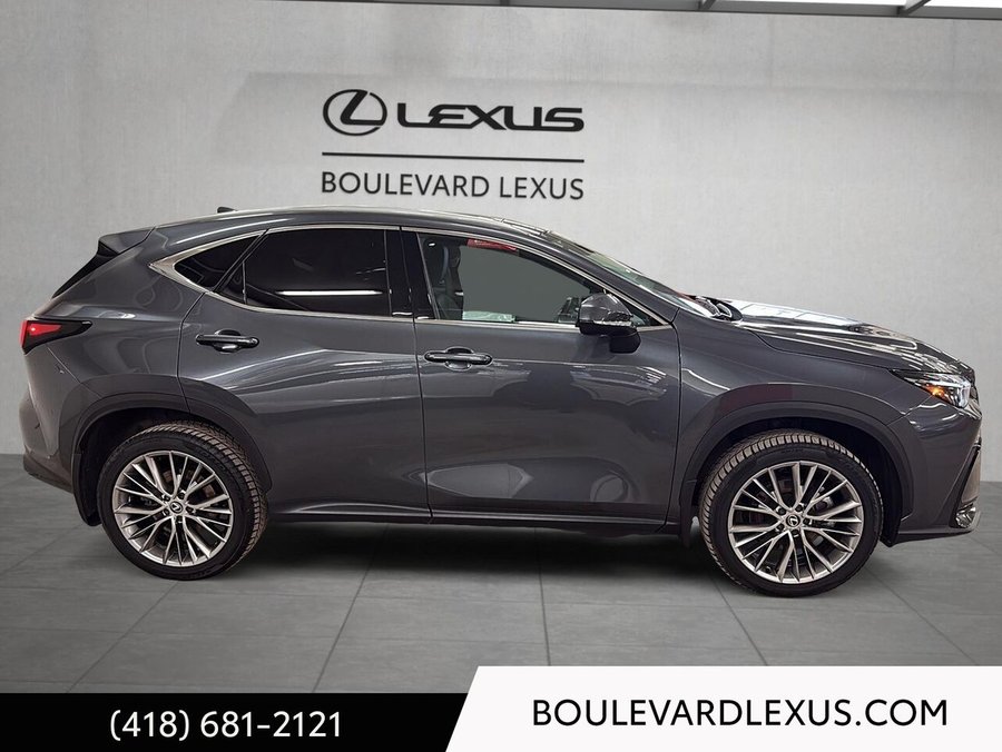 Lexus NX 350h Luxe 2024 Gris